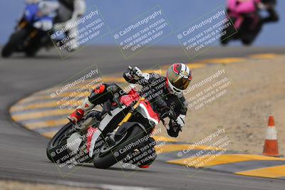 media/Jan-14-2023-SoCal Trackdays (Sat) [[497694156f]]/Turn 12 (120pm)/